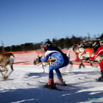 Course de rennes à Hetta, Enontekio