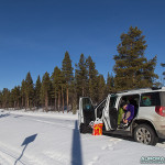 Forêt de Kiruna