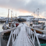 Cap Nord - Honningsvåg - 2 février 2016