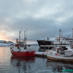 Cap Nord - Honningsvåg - 2 février 2016