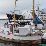 Cap Nord - Honningsvåg - 2 février 2016