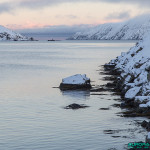 Cap Nord - Ile de Magerøya