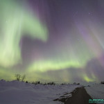 Aurore boréale en Finlande