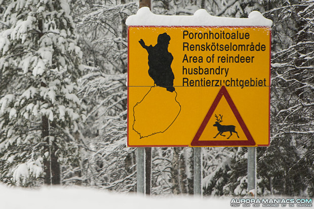 Attention territoire des rennes