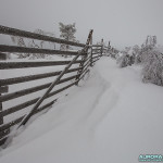 Paysage Laponie finlandaise