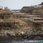 Séchage du poisson à Reine, Iles Lofoten