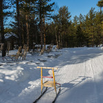 Balade en luge à Hetta, Enontekio (Finlande)