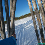 Balade à Hetta, Enontekio (Finlande)