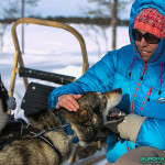 Traineau à chiens, Hetta, Enontekio (Finlande)