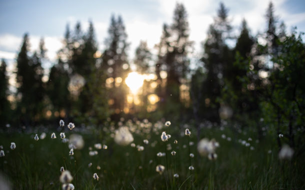 En ce 21 juin, solstice d'été, c'est la journée la plus longue de l'année